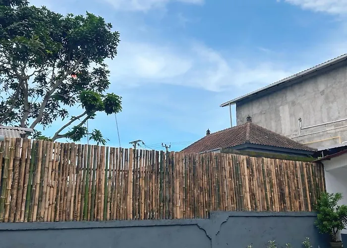 Tree Mango 1 Uluwatu